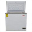 CONGELADOR HORIZONTAL TAPA DE COFRE TORREY CHTC-75 D