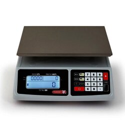 BÁSCULA ELECTRÓNICA TORREY SX40 SMART