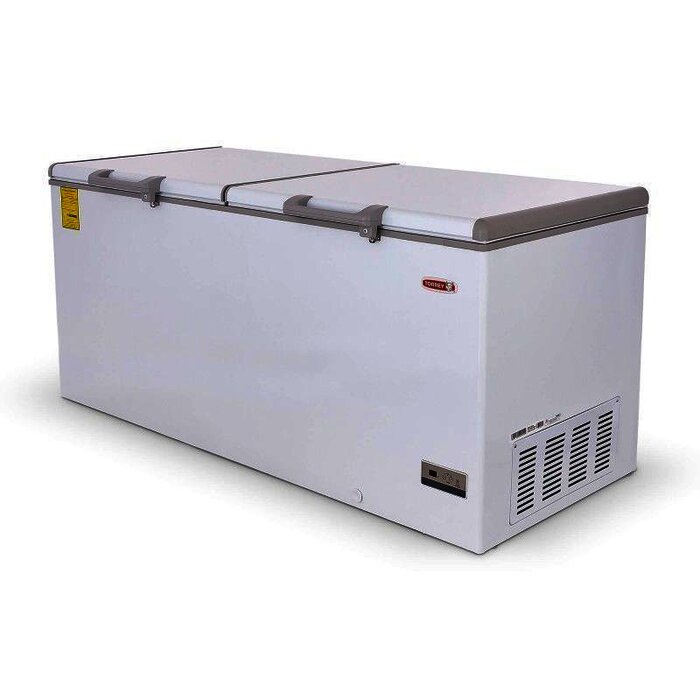 CONGELADOR HORIZONTAL 2 EN 1 TORREY CHTC-255 D