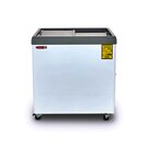 CONGELADOR HORIZONTAL TAPA DE CRISTAL TORREY CHC-80PR