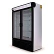 REFRIGERADOR VERTICAL 2 PUERTAS 36 PIES TORREY R36